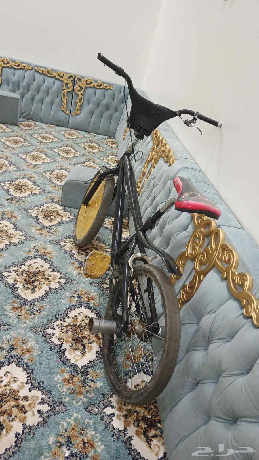 سيكل كوبرا مقاس 2064166134790913111