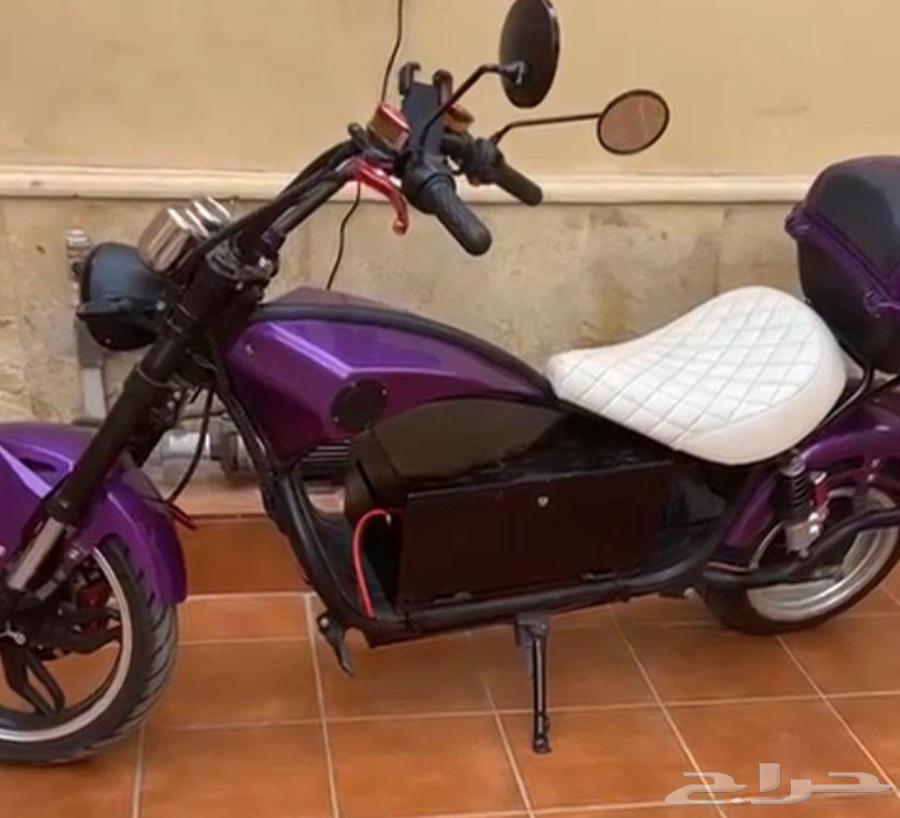 مطلوب هارلي كهرباء64373802302849110