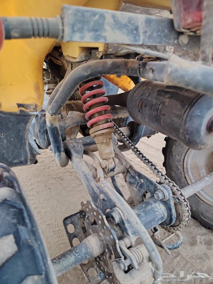 دباب سويدي للبيع مقاس 10064382749176322114