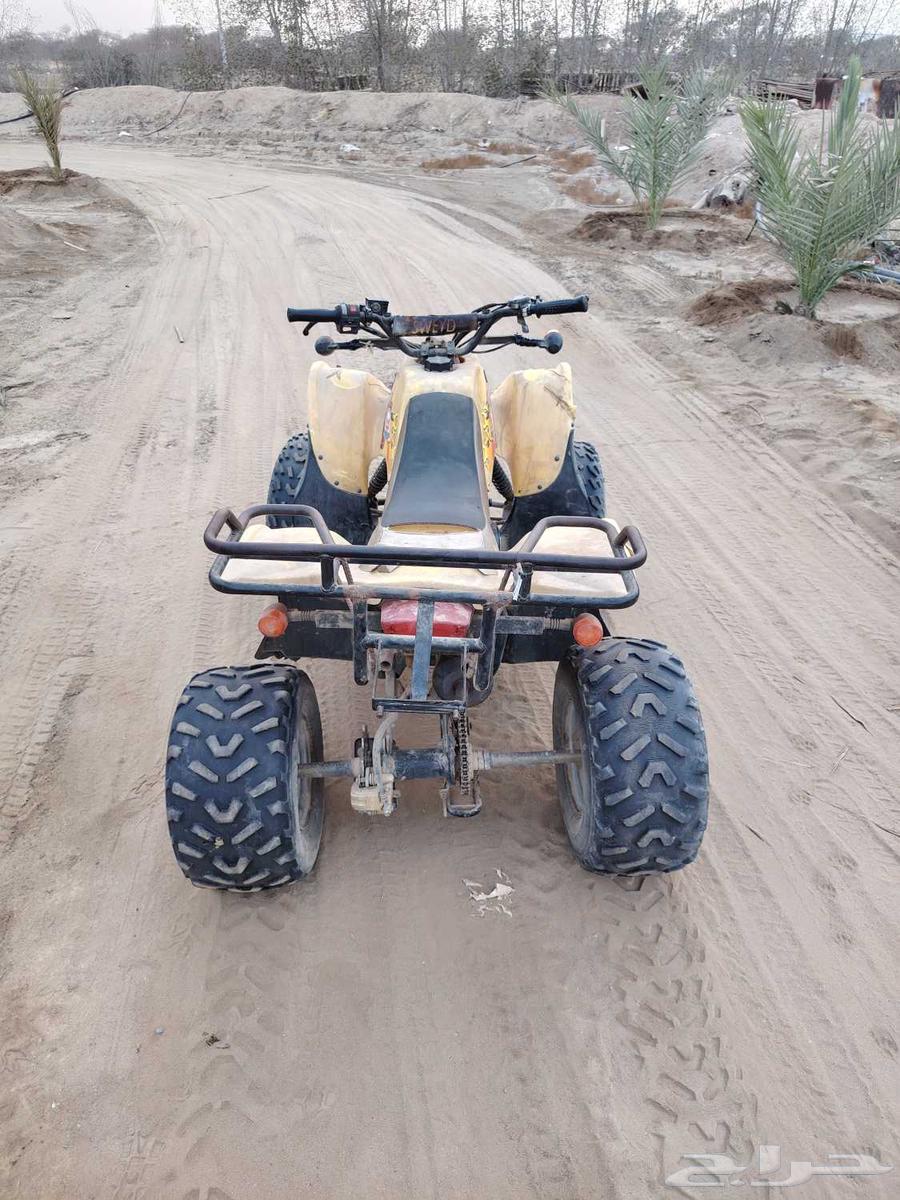 دباب سويدي للبيع مقاس 10064382749176322112