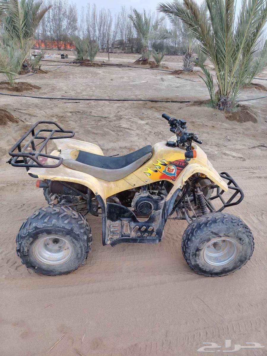 دباب سويدي للبيع مقاس 10064382749176322113