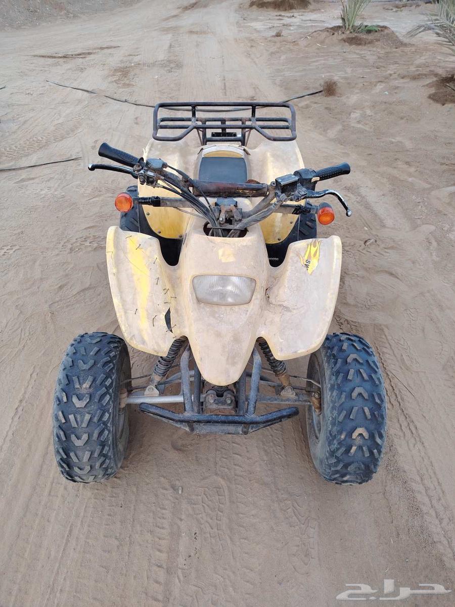 دباب سويدي للبيع مقاس 10064382749176322110