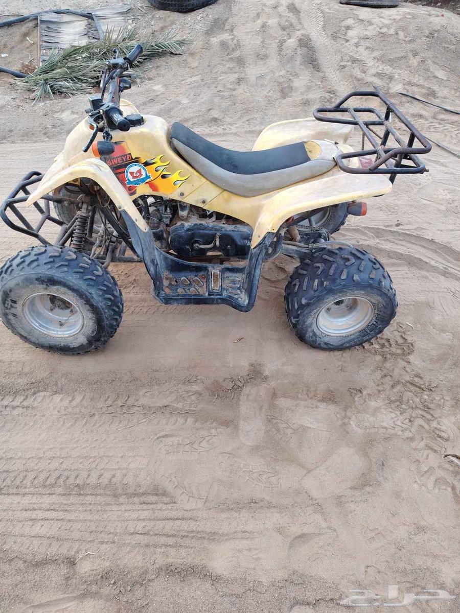 دباب سويدي للبيع مقاس 10064382749176322111