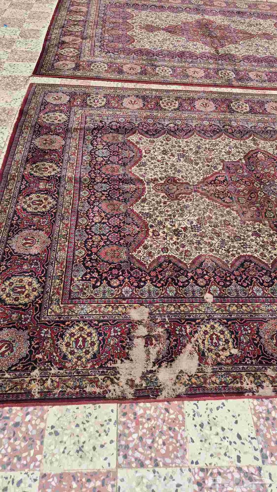 زوالي بلجيكى64162972592769114