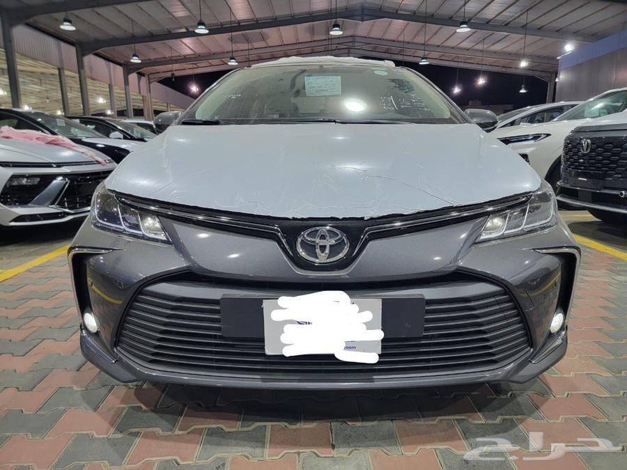 Korla XLI Developer 202564381342692225110