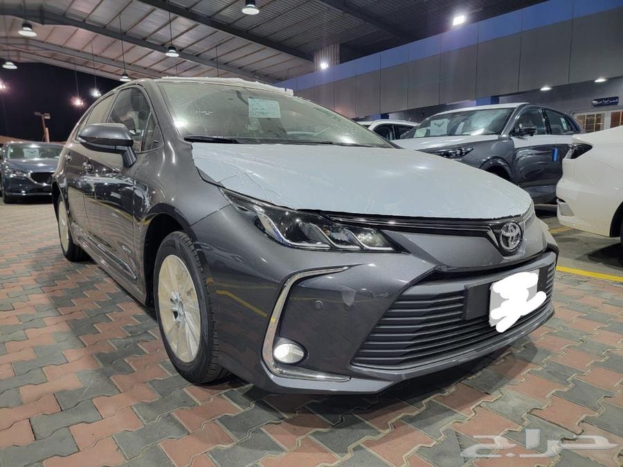 Korla XLI Developer 202564381342692225111