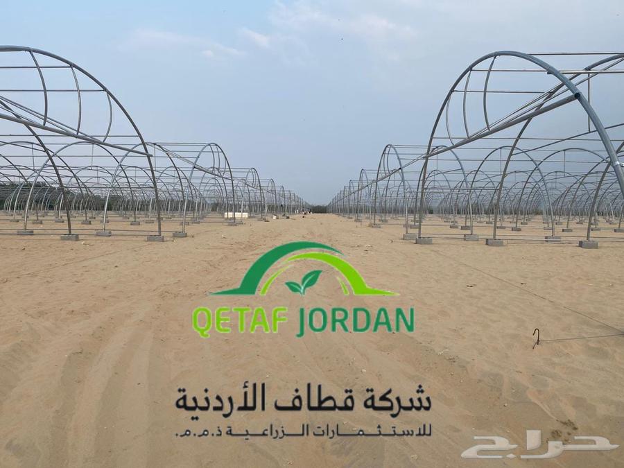 بيوت محمية باسعار خاصة لفترة محدودة64161517154945112