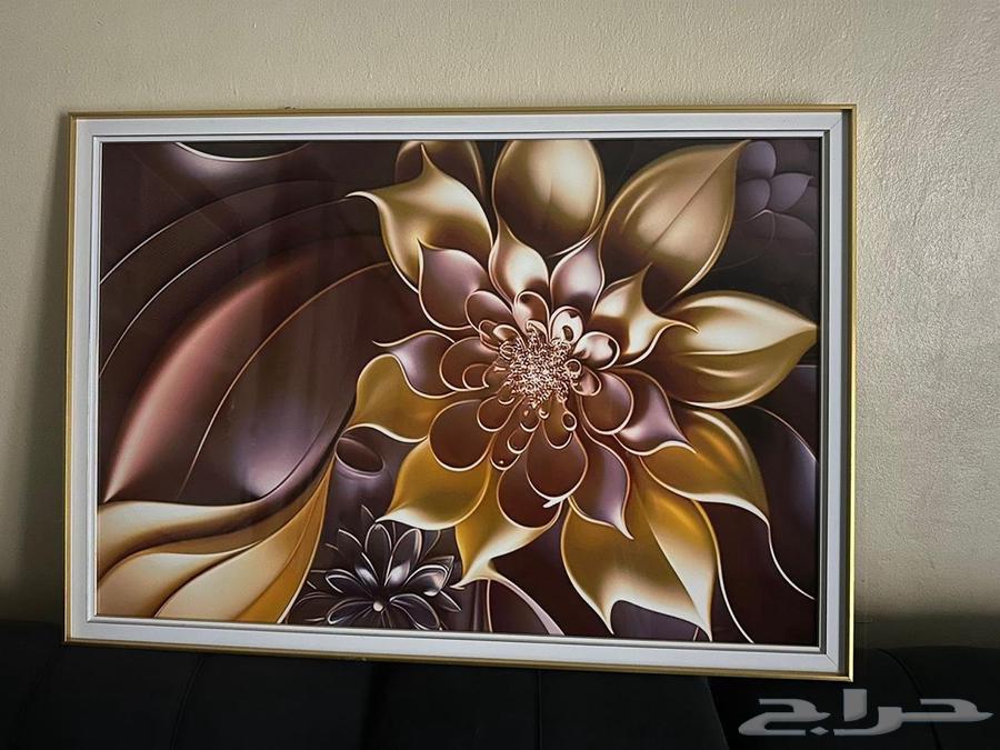 لوحه جديده وحجمها كبير ب 50 ريال فقط64383469809026110