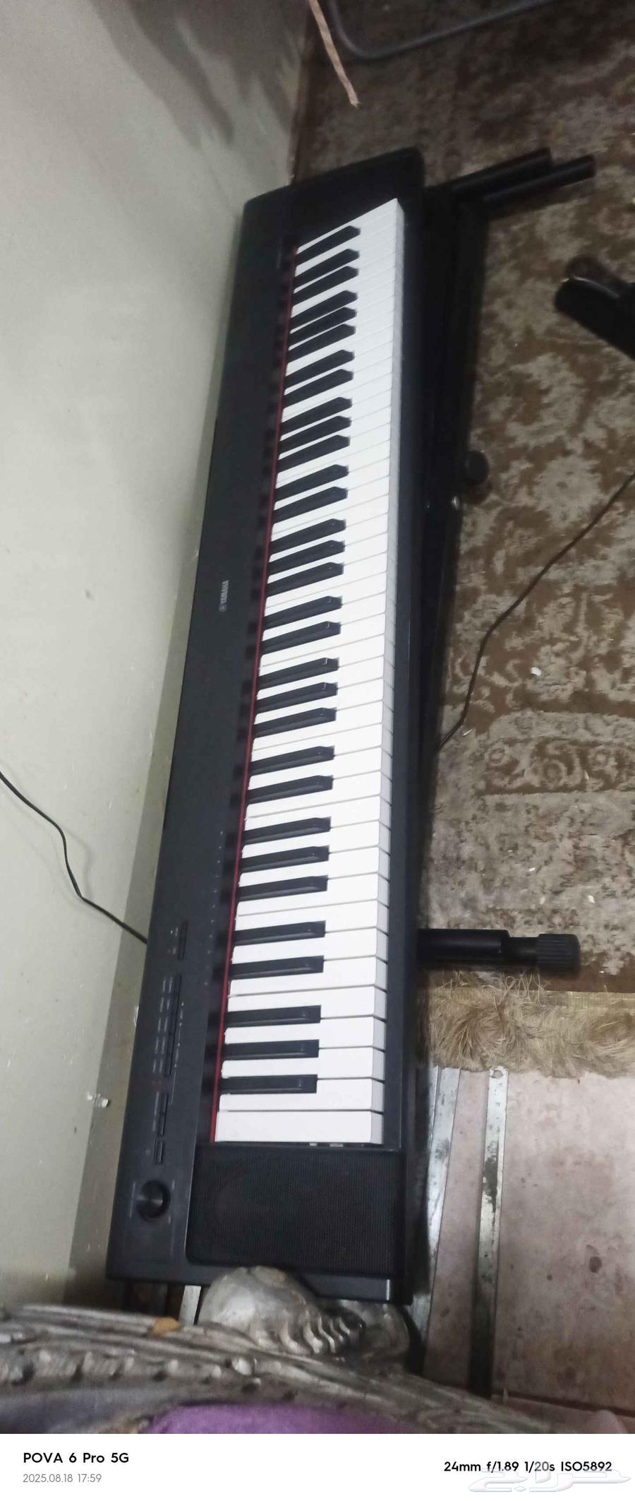 ابينو اصليه64382017876739110