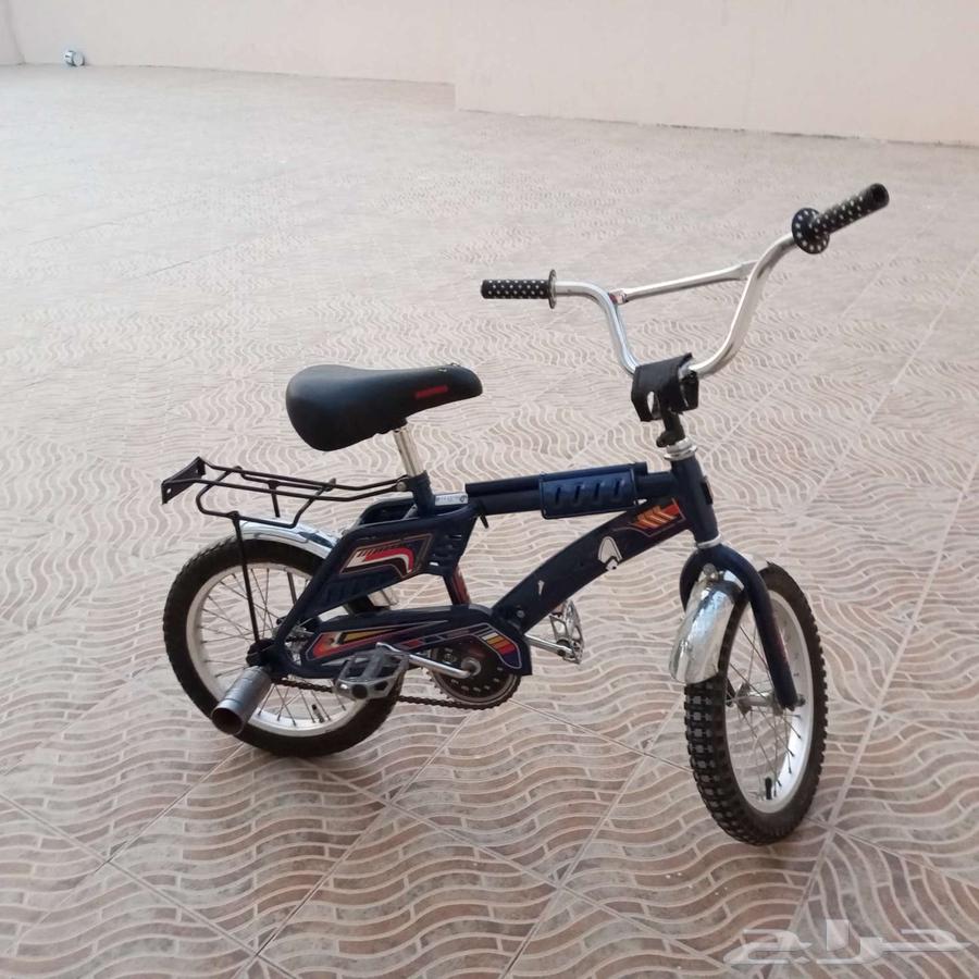 Soup64165908323586111