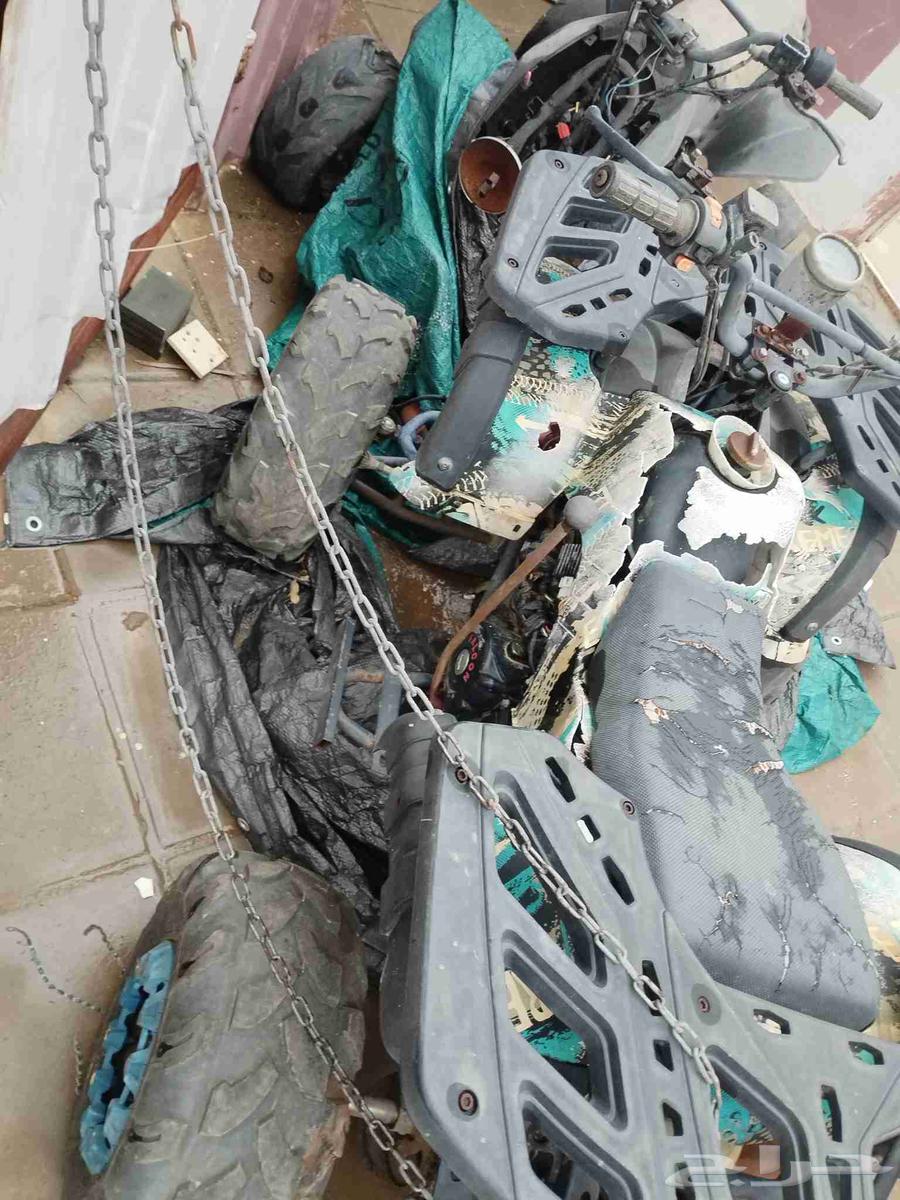 دبابين أربعة كفرات64379530190594114