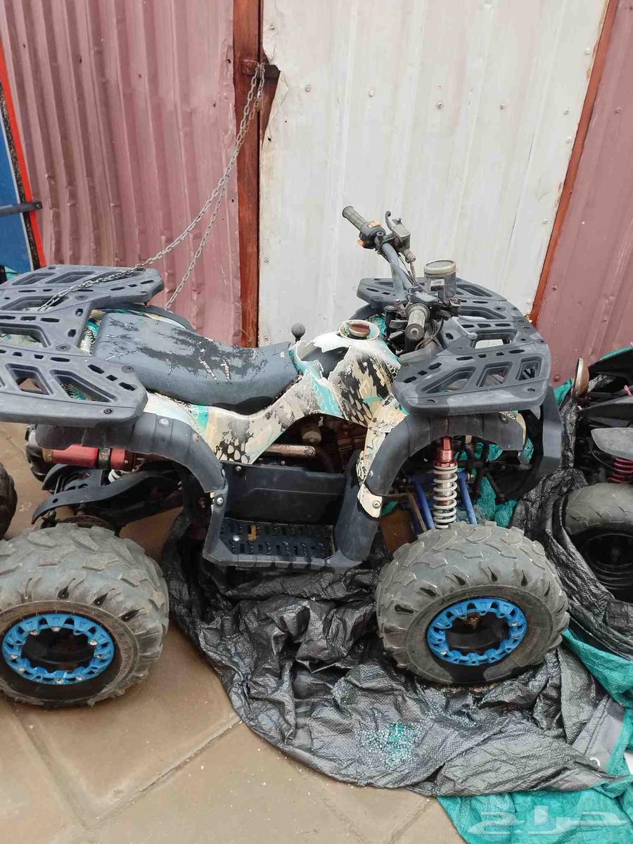 دبابين أربعة كفرات64379530190594113