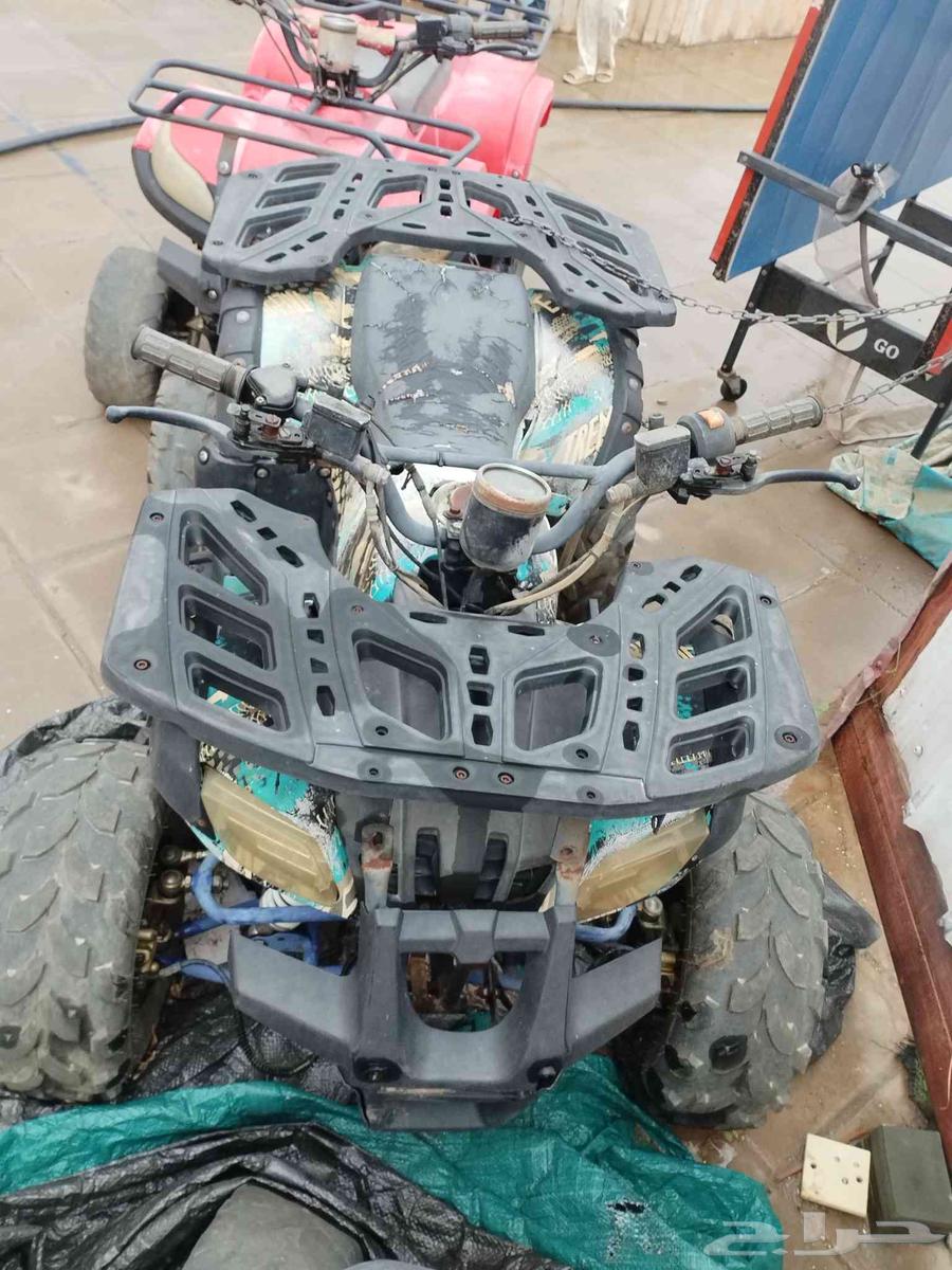 دبابين أربعة كفرات64379530190594112