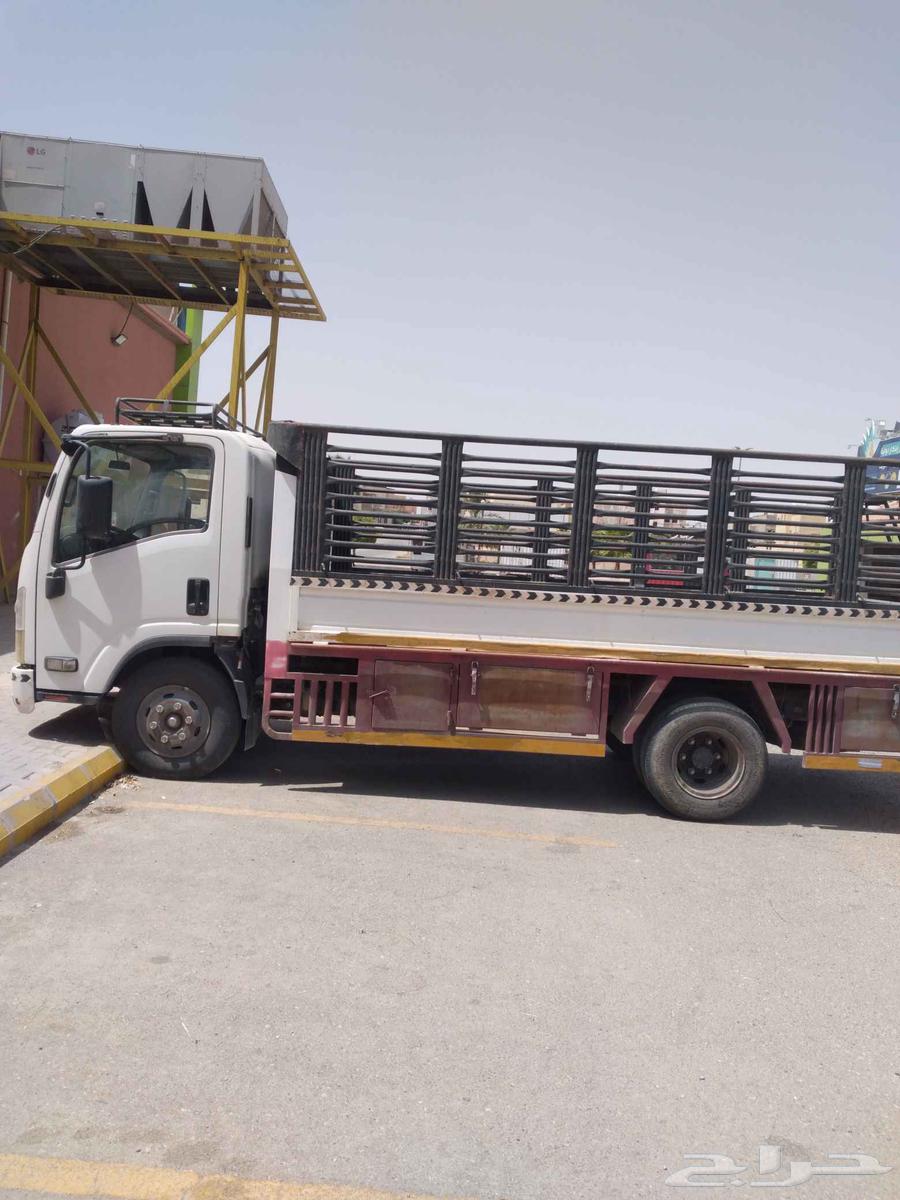 Dina64379486860417110