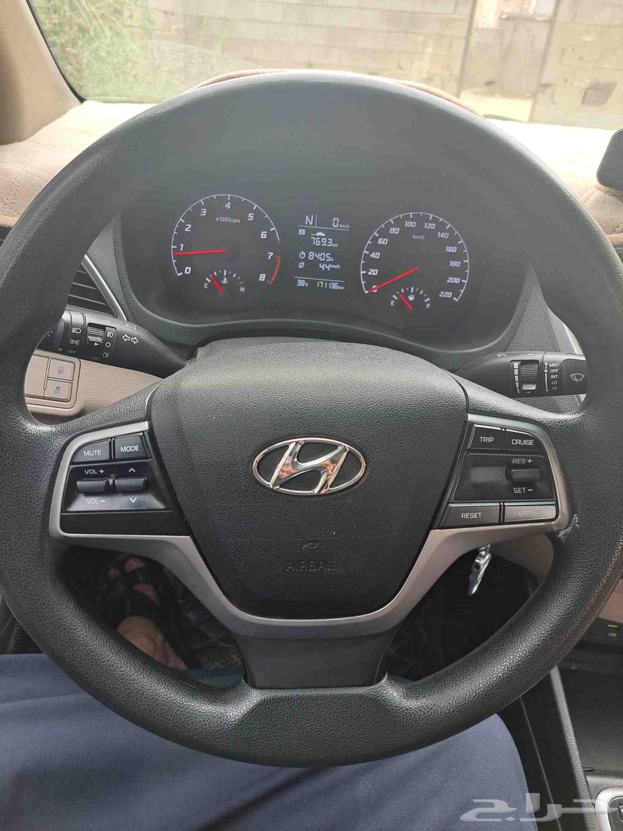 اكسنت موديل 2021 محافظة بارق64378542175746112