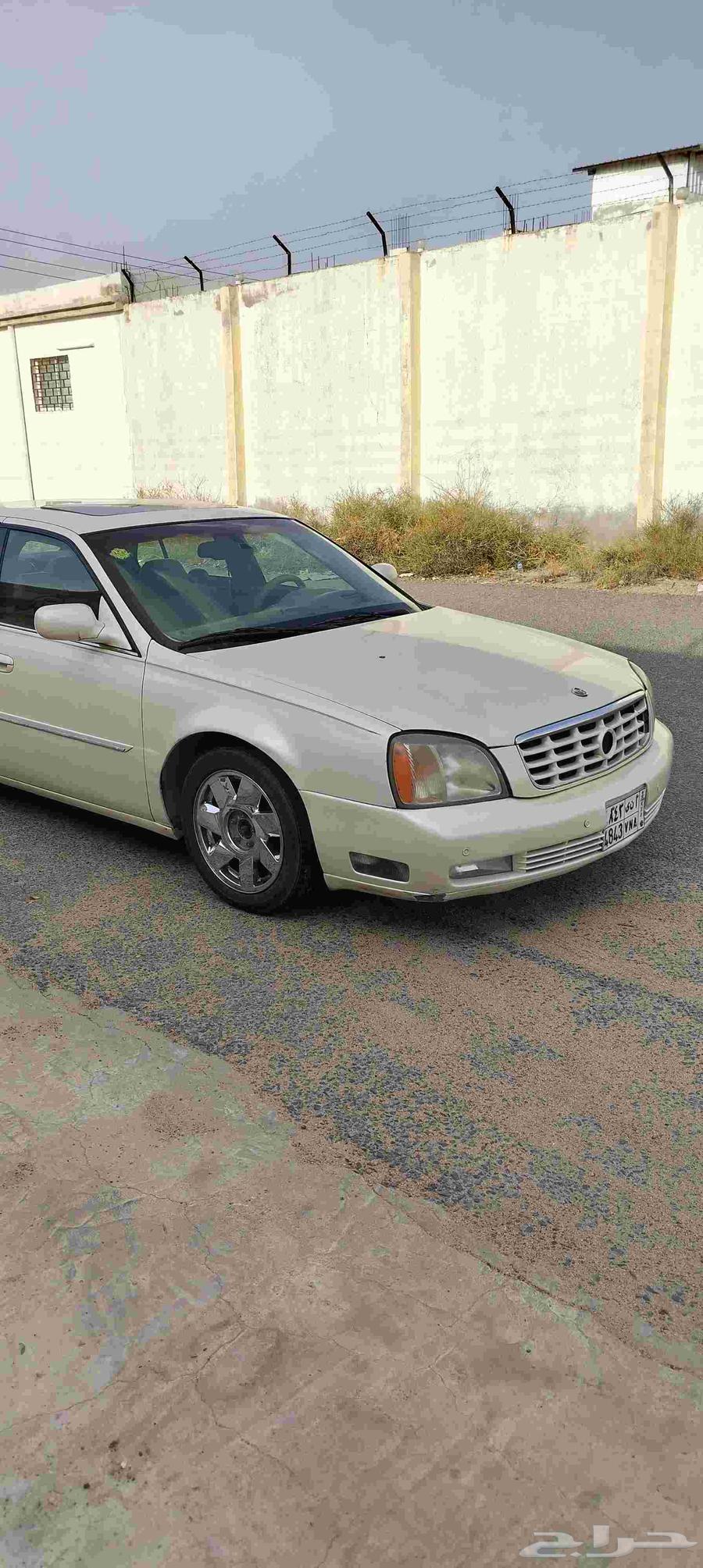 كدلك دوفيل 200164377137720194113