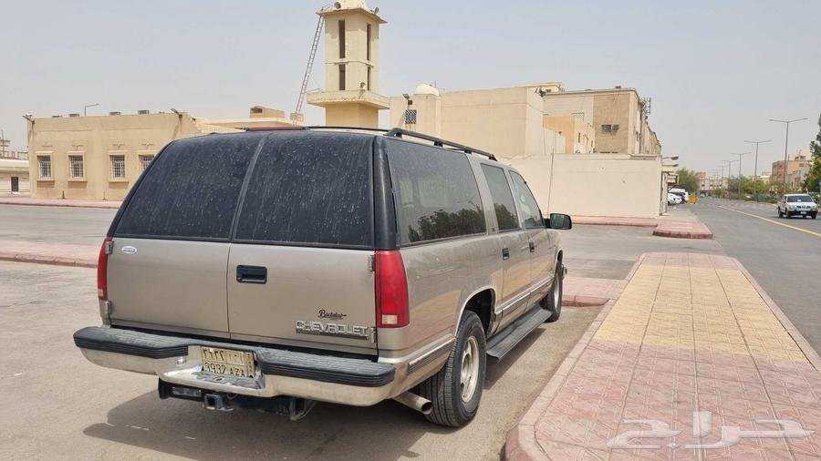 شيفلولية64382721303042110