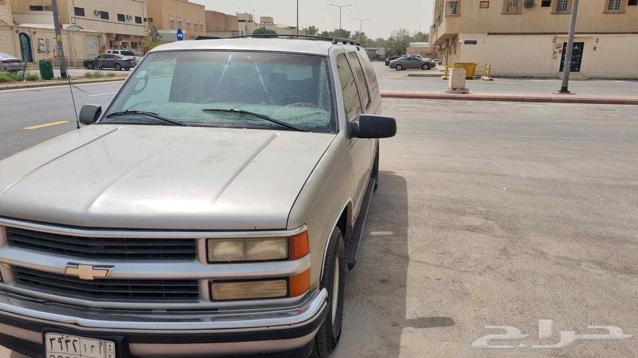 شيفلولية64382721303042111