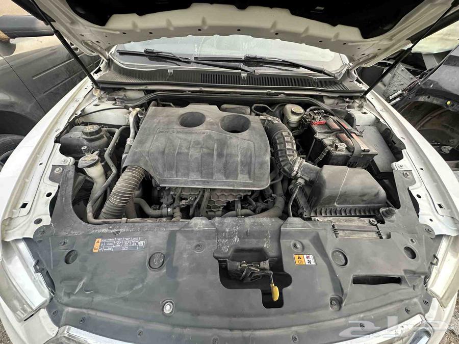 Tors 201564384423884035110