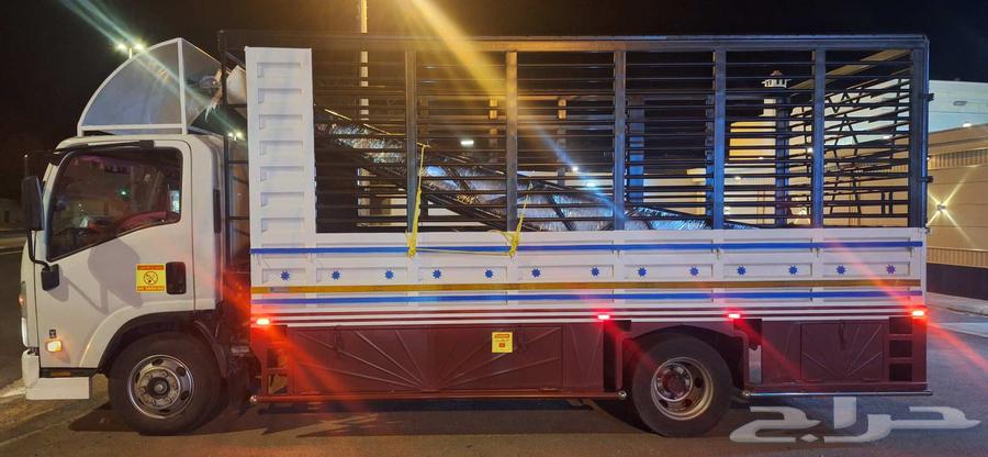 دينا ايسوزو 2017. 5 متر64383025453827111