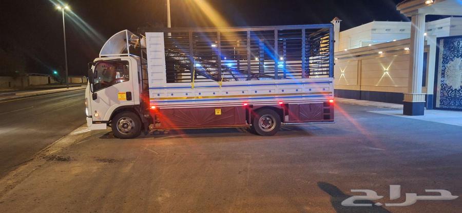 دينا ايسوزو 2017. 5 متر64383025453827110