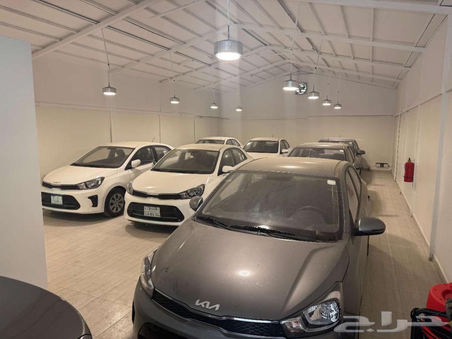 كيا بيجاس للإيجار 202564383816122883113