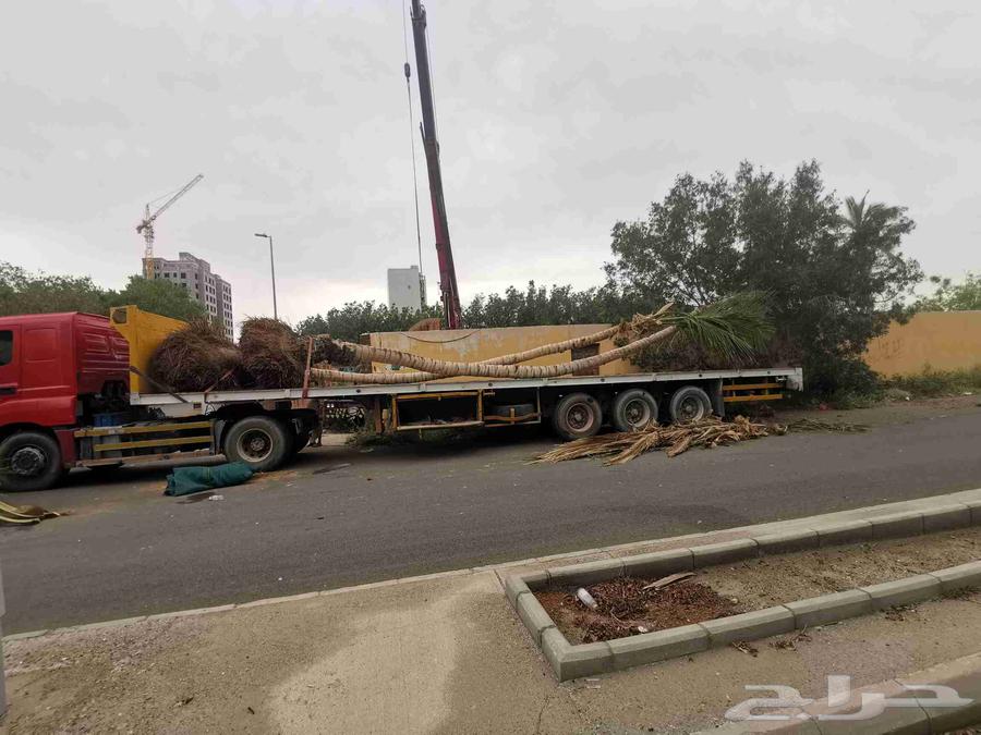 إيجار وانش كرين رافعا رقم جوال جدة64375902012801114