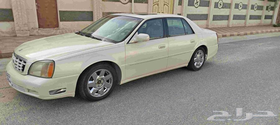 كدلك دوفيل 200164377137720194111