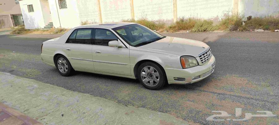 كدلك دوفيل 200164377137720194112