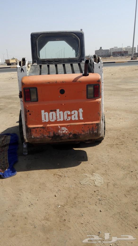 Bobcat for rent64381892574723111