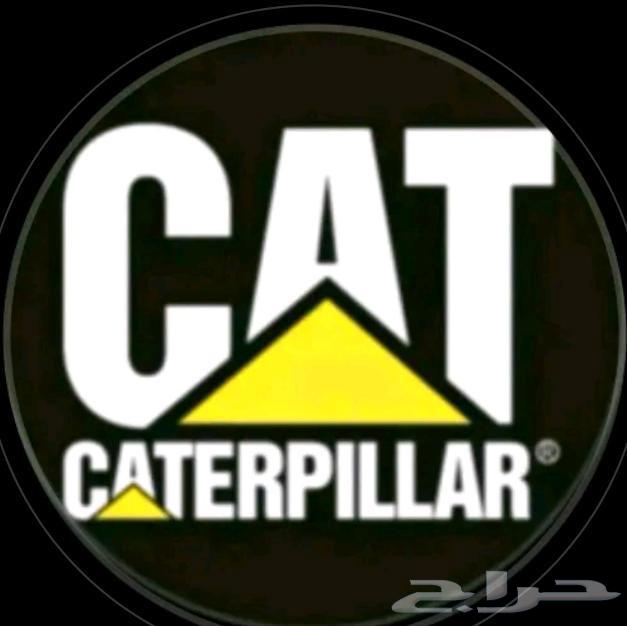 Driver with both Class B and Public Occupation Vehicle License, has health insurance64377389162243110