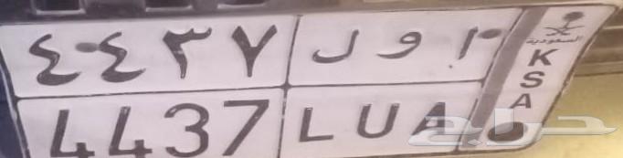 Special distinctive board64378498750465110