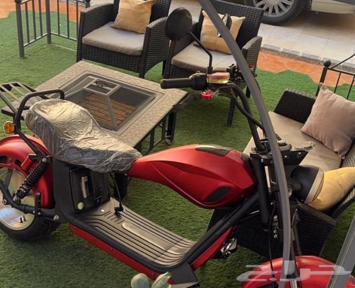 مطلوب هارلي كهرباء64373802302849111