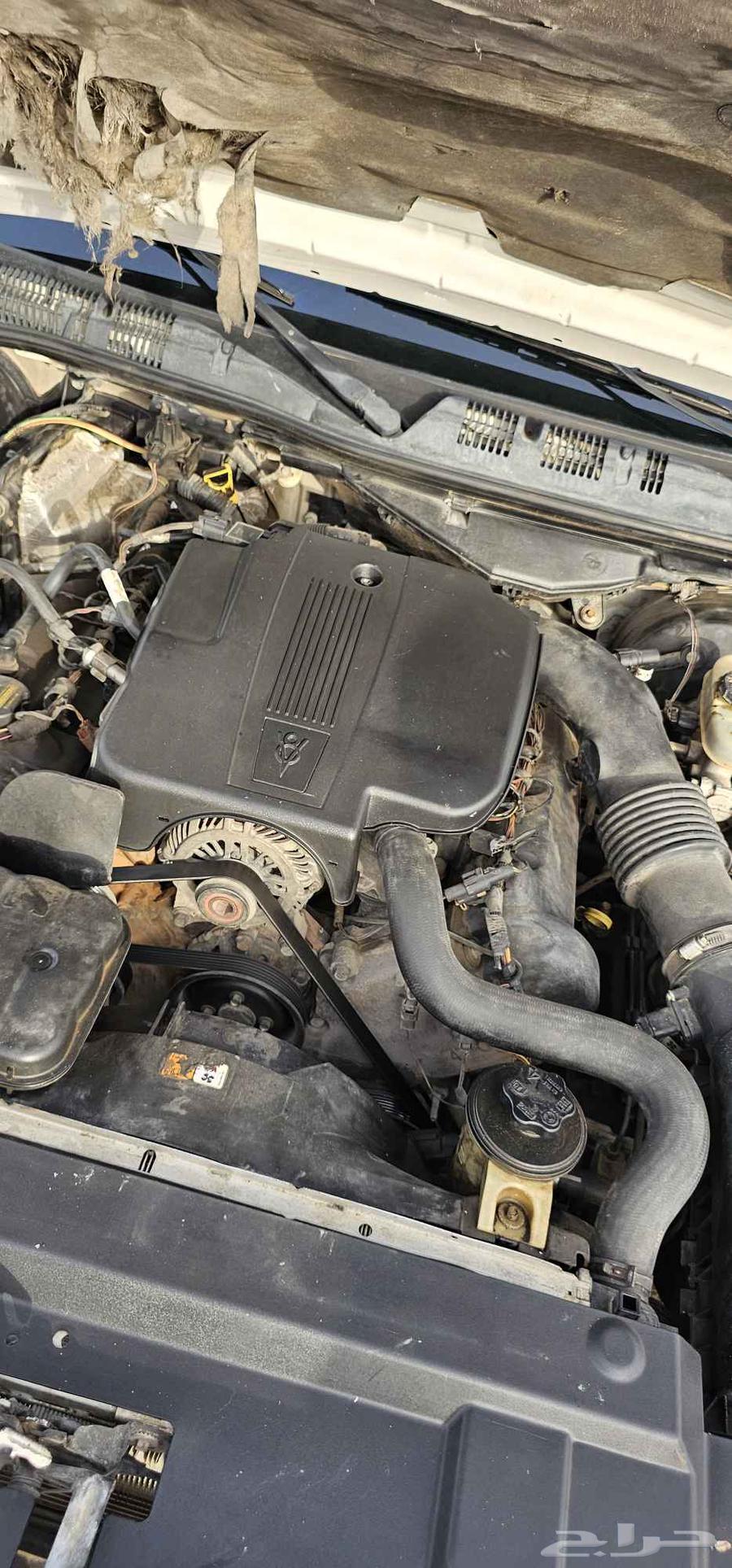 Victoria Machine 2009, 2010, 201164374641446275110