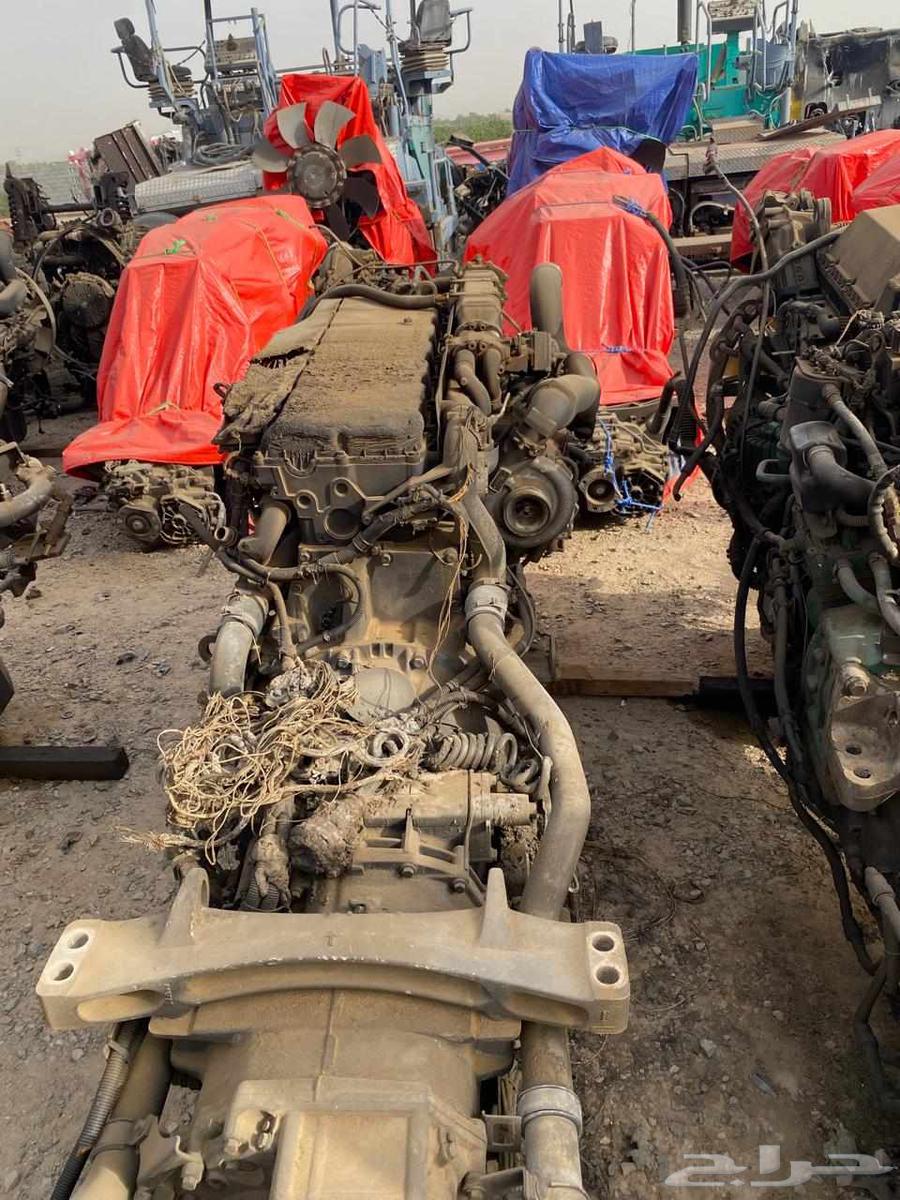 نشتري روس تريلات (جميع الانواع )64379775831170114