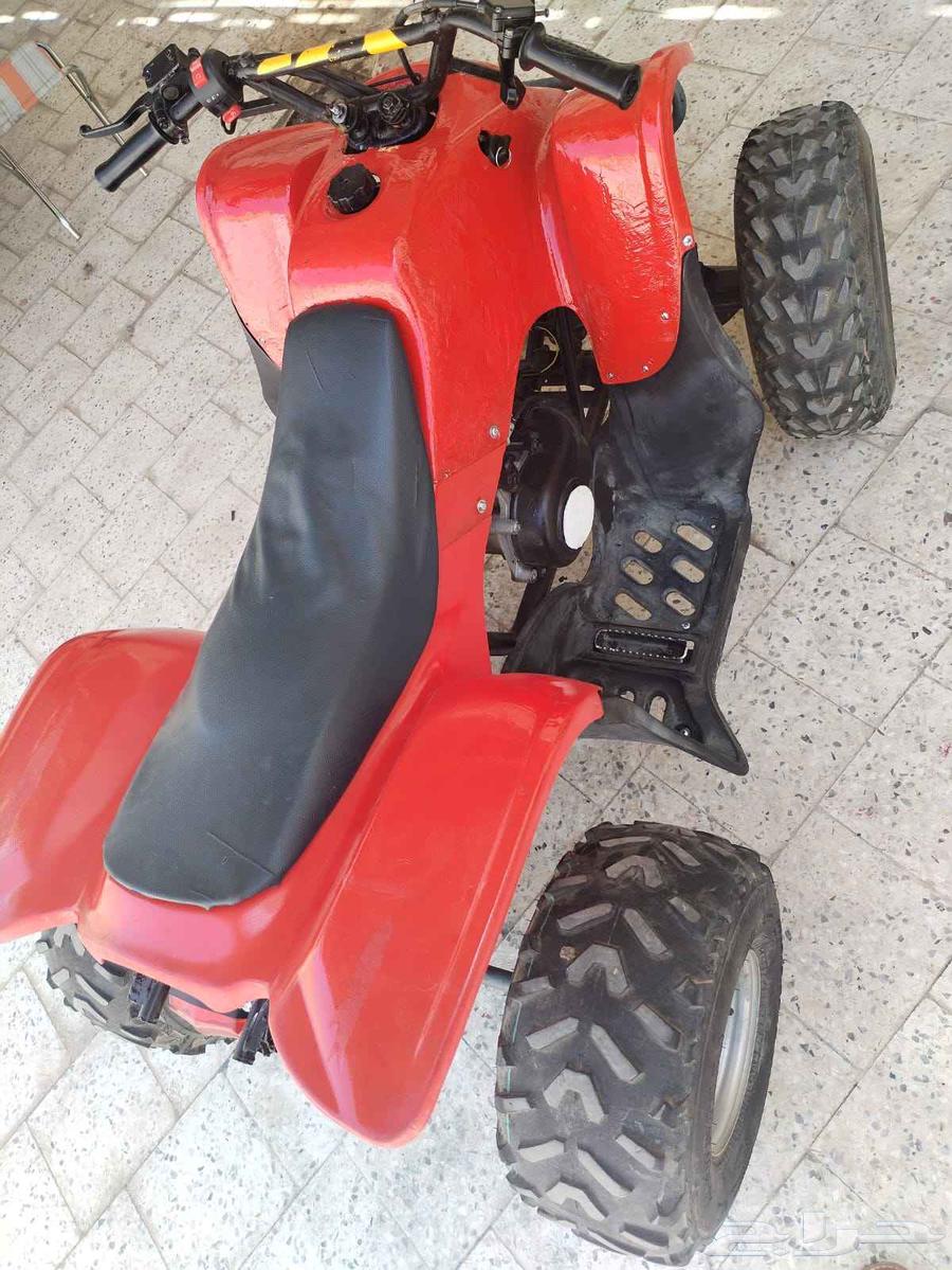 دباب سويدي تايواني قمه في النظافه مقاس 10064395755119618113