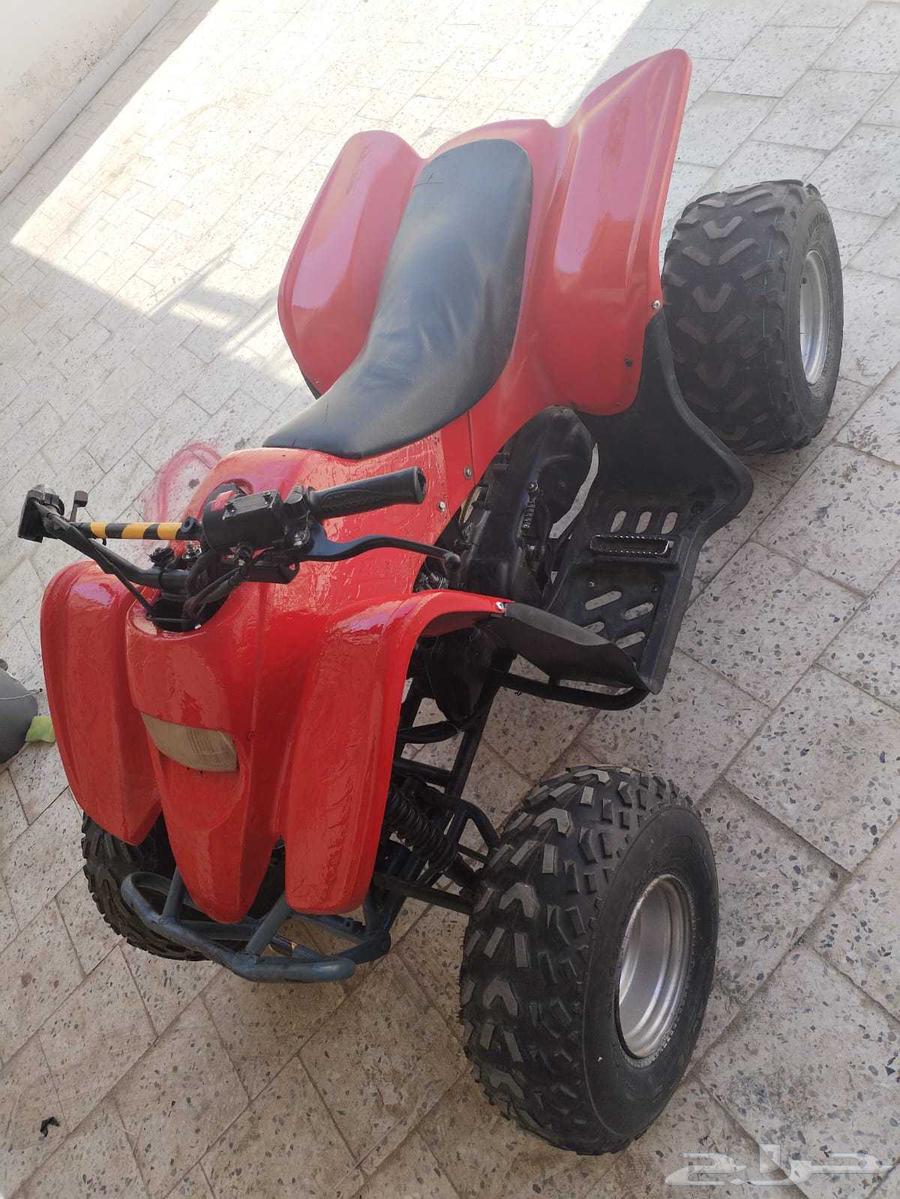 دباب سويدي تايواني قمه في النظافه مقاس 10064395755119618114