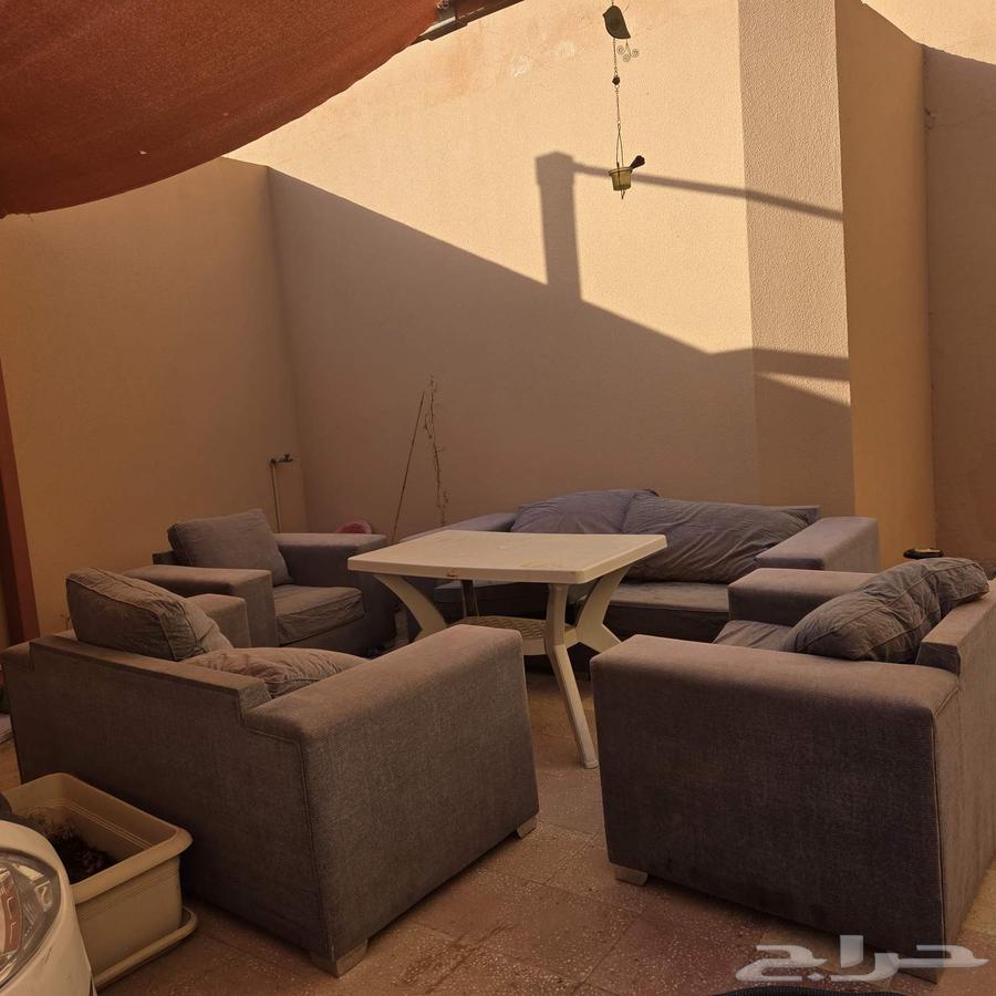 Sofa64182155442434110