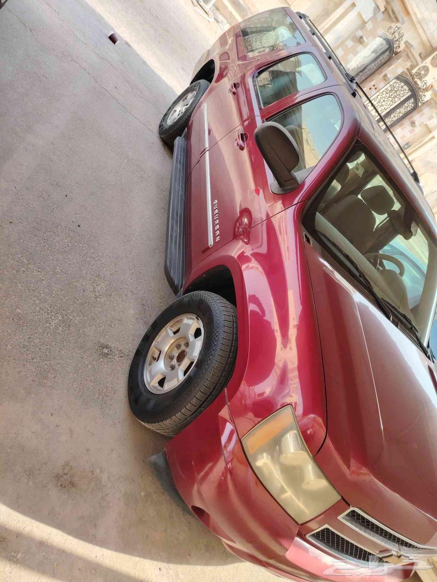 Superban large size model 201164391577532929114