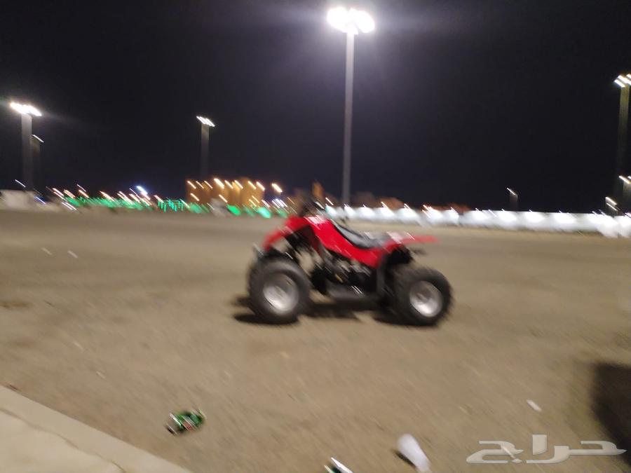 دباب سويدي تايواني قمه في النظافه مقاس 10064395755119618110