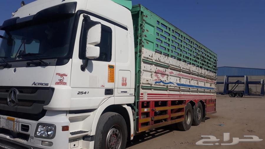 Mercedes actros 2012 for sale.مريديس ا تروس 2012 للبيع64385592575747112