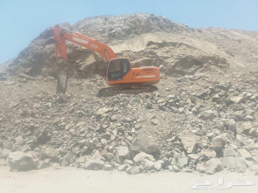 بوكلين دوسان للايجار يومي اسبوعي شهري في جميع أنحاء المملكه64376569381761112