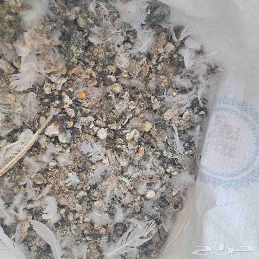 سماد طبيعي _ سبلة حمام64194239029251111