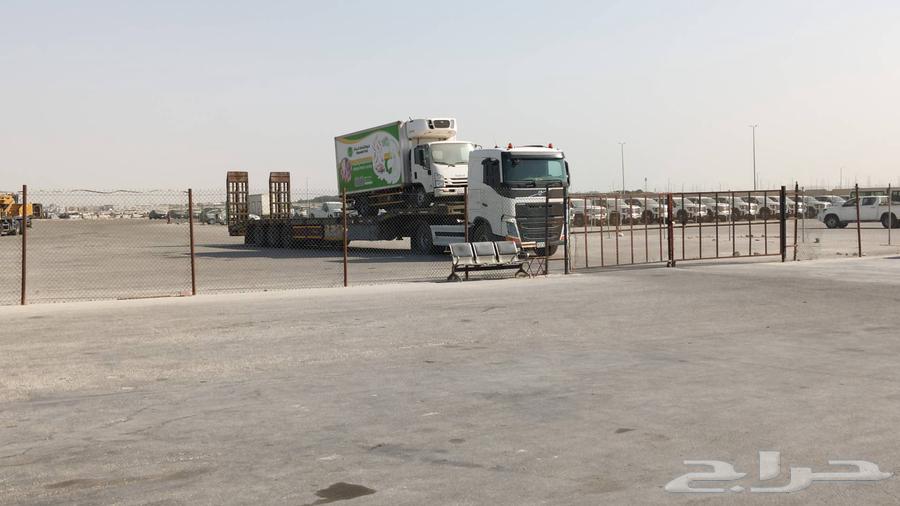 لوبد64388245294465110