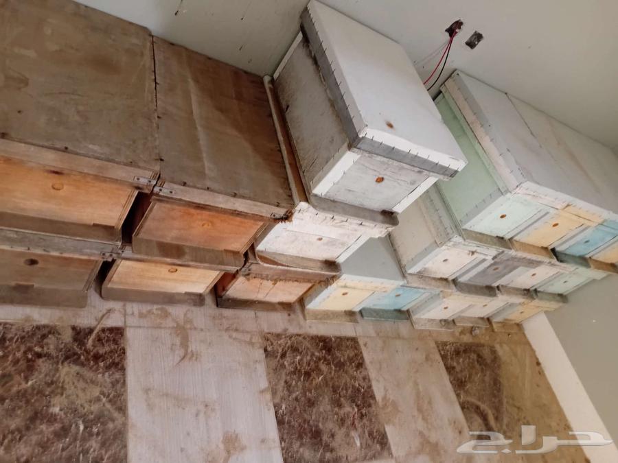 خلايانحل فاضيه64389196815489110