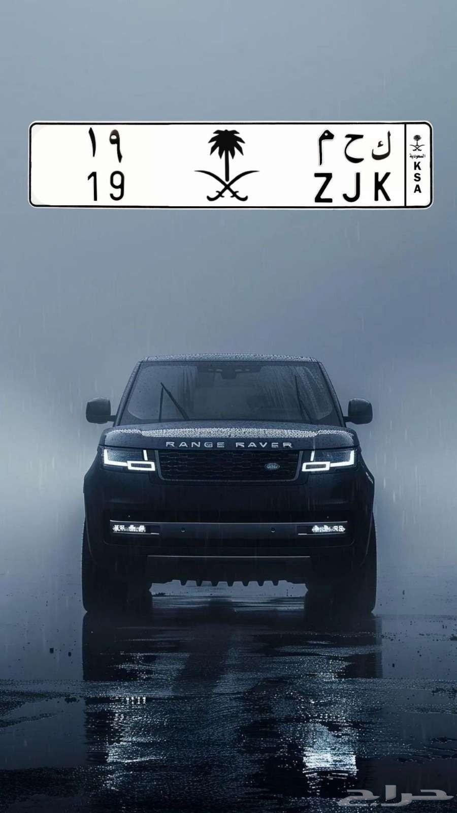 للبيع لوحة مميزة ثنائي 1964385705000065110