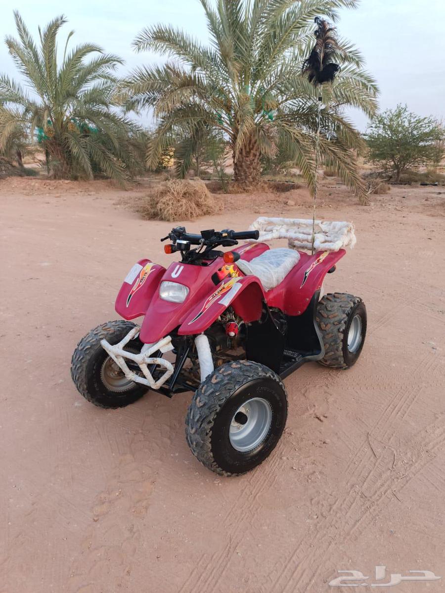 دباب64393873853699110