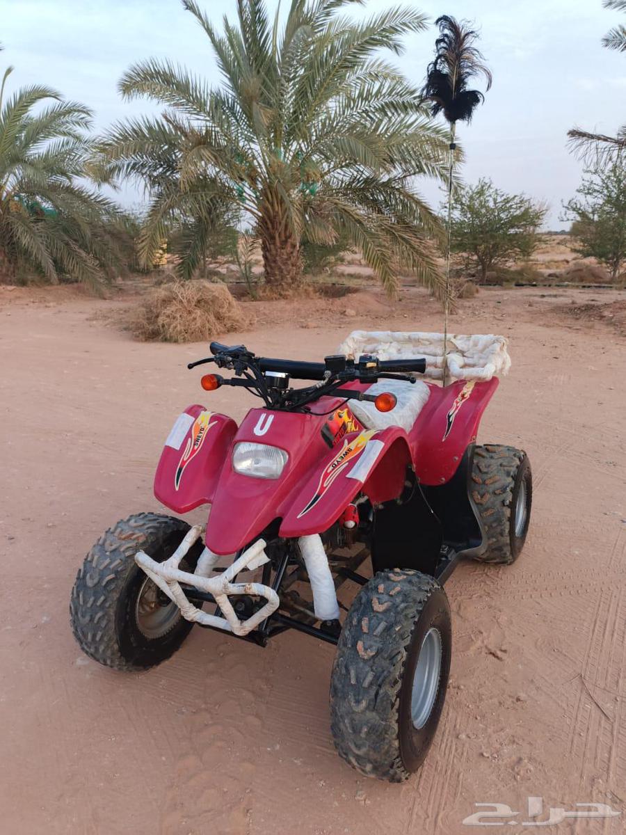 دباب64393873853699111