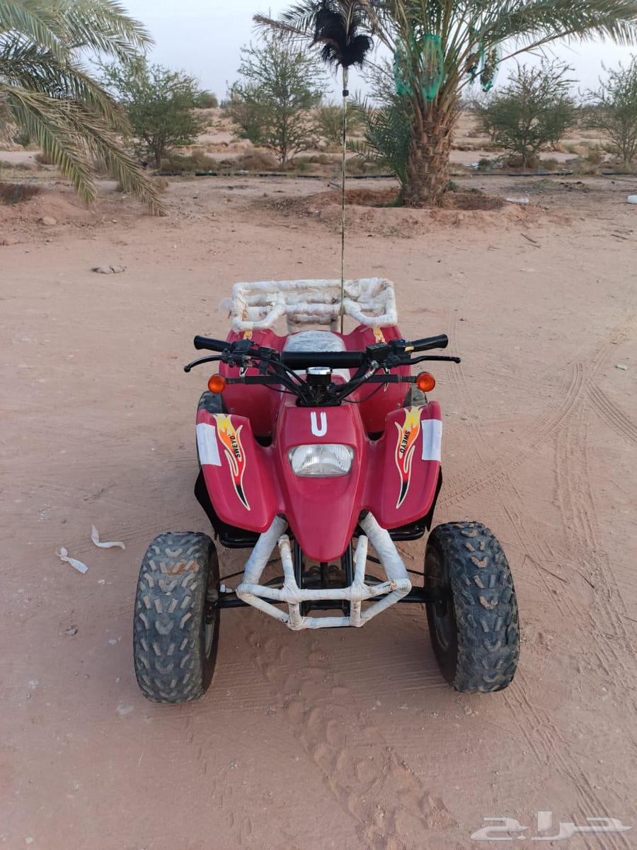 دباب64393873853699114