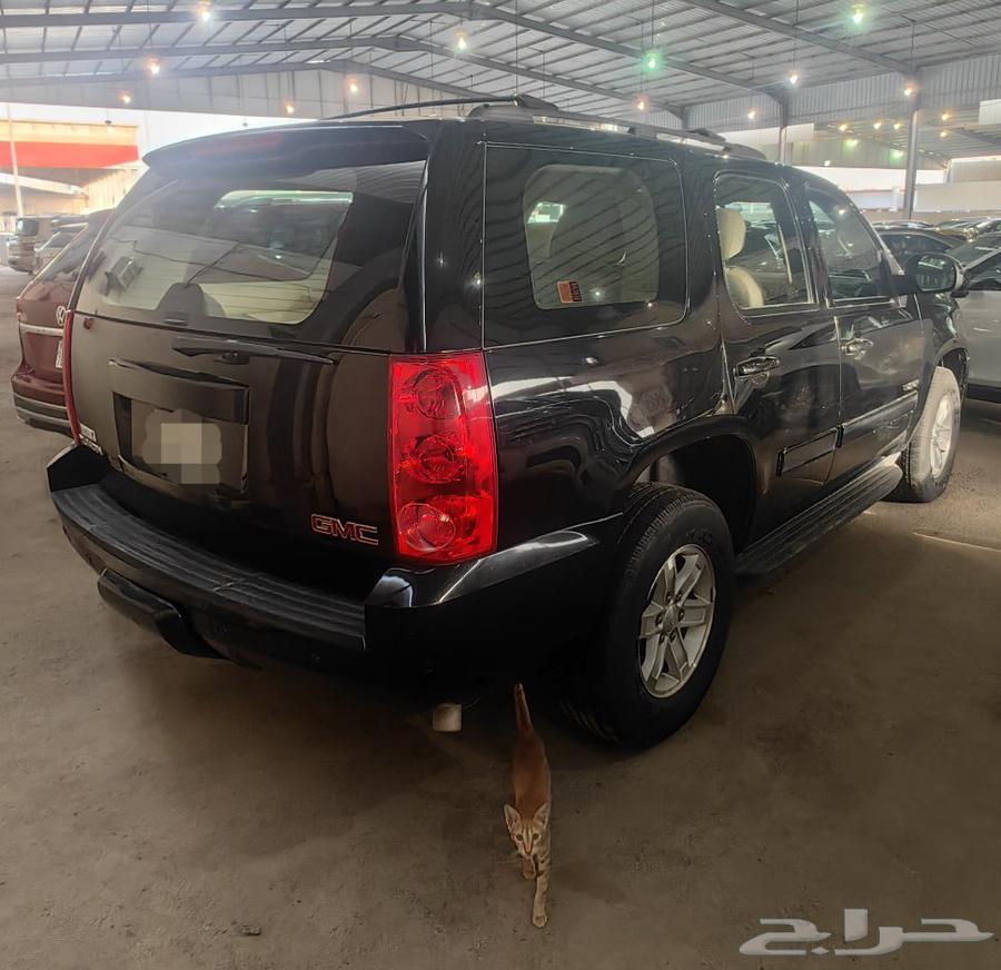 جمس يوكن قصير 201364392991519363114